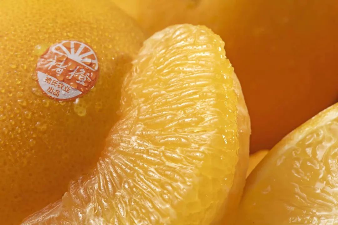 1635237575360102.jpg ia_1300000529.jpg