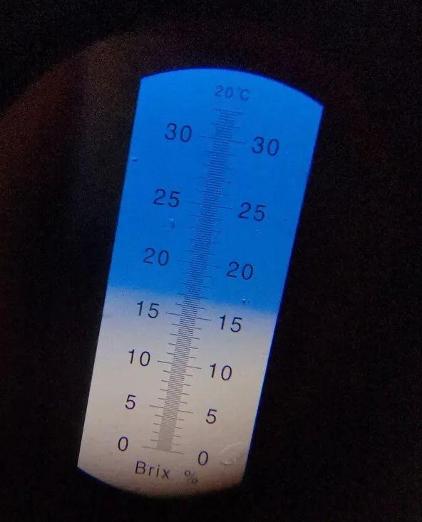 1635386450572434.jpg ia_100000776.jpg