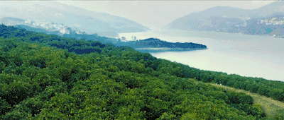 1635387023795428.gif ia_300000002.gif