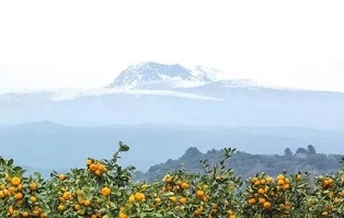 1635388523401328.jpg ia_300000003.jpg