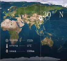 1635388549840887.jpg ia_300000999.jpg