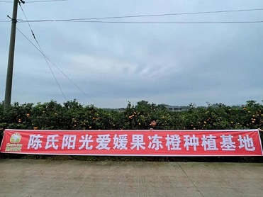 1635388559420756.jpg ia_300001002.jpg