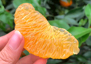 1635388571517739.gif ia_300001007.gif