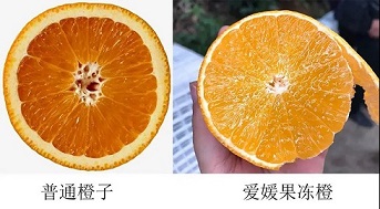 1635389000582879.jpg ia_300001000.jpg