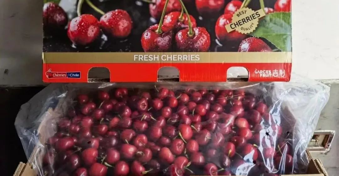 1635485607943847.jpg ia_800000693.jpg