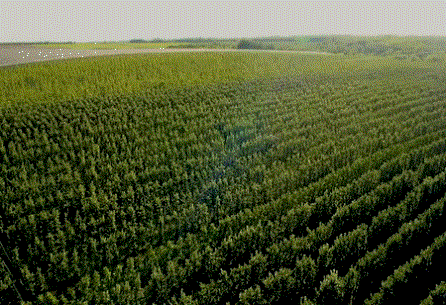 1635839262828516.gif ia_700000001.gif