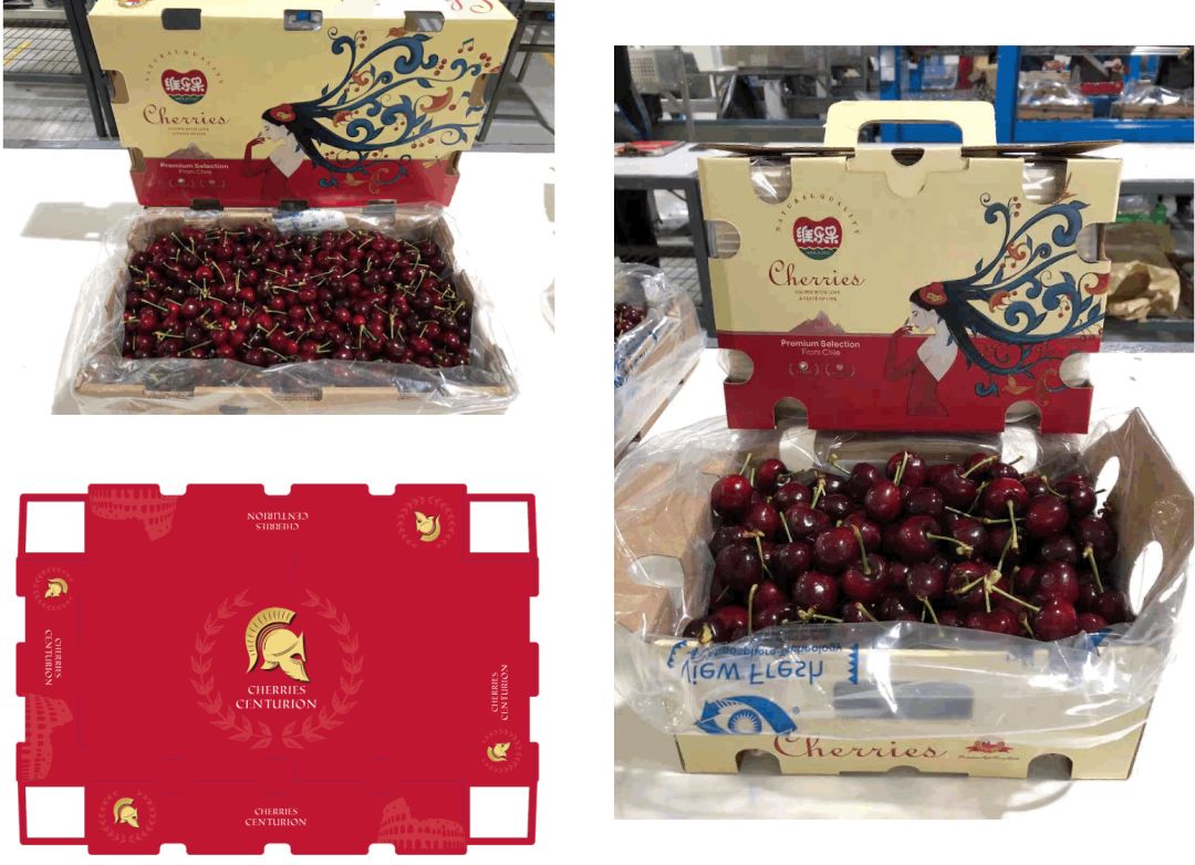 1635844965734079.jpg ia_1300000681.jpg