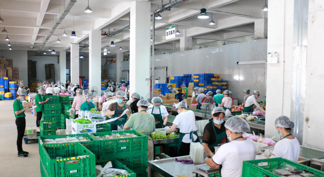 1656639543597516.png 10004.png