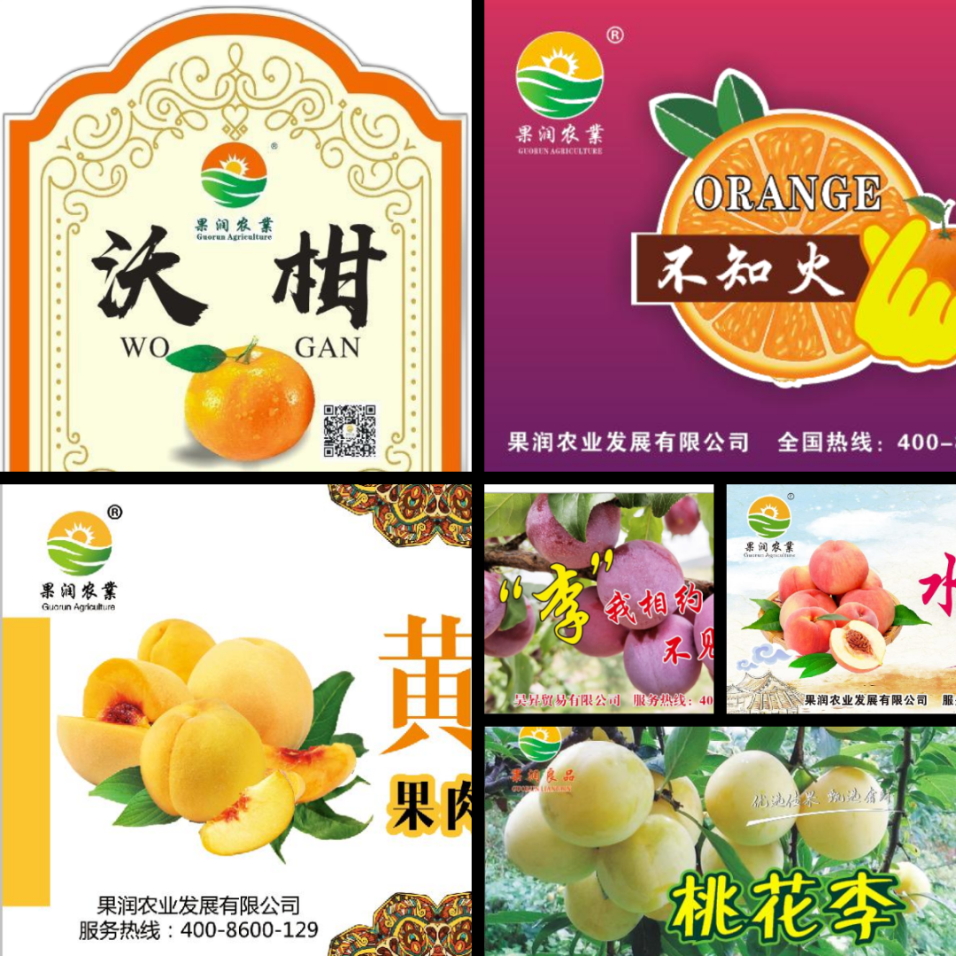 1657764495354269.png 4.png