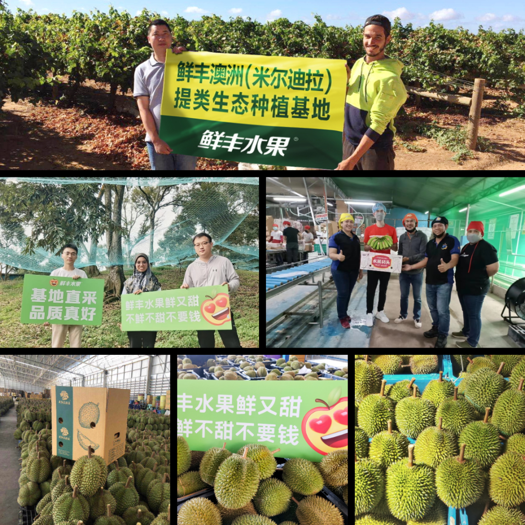 1657764755945801.png 3.png