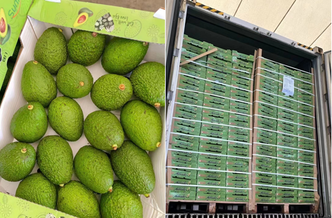 1661740216219727.png 10001.png