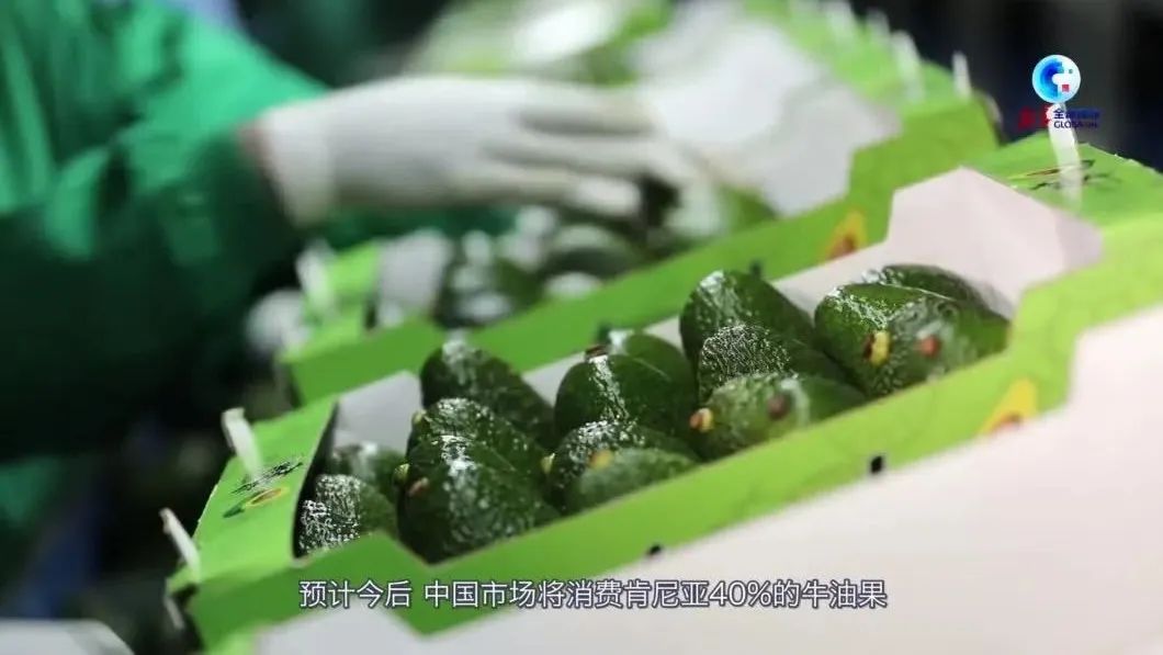 1661740256624848.jpg 10006.jpg