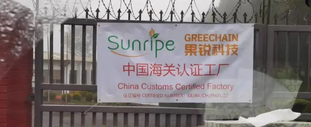 1661740266223246.jpg 10004.jpg