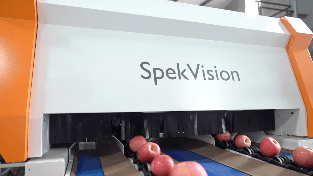 1661996851756965.gif 10016.gif