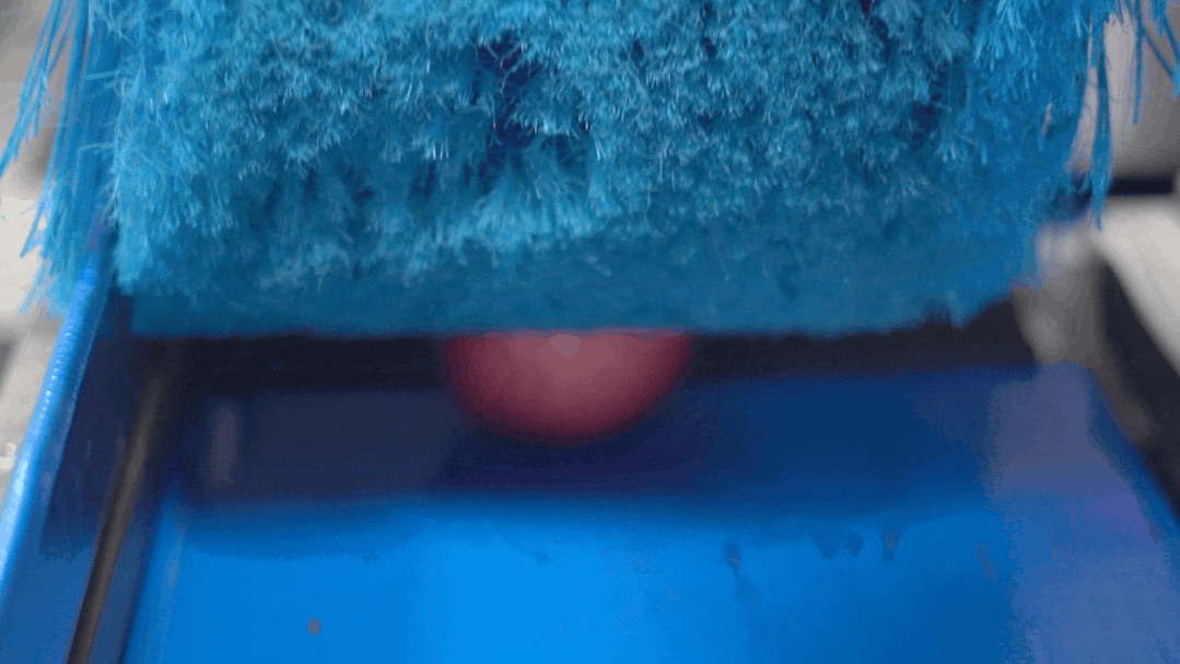 1661996898480098.gif 10018.gif