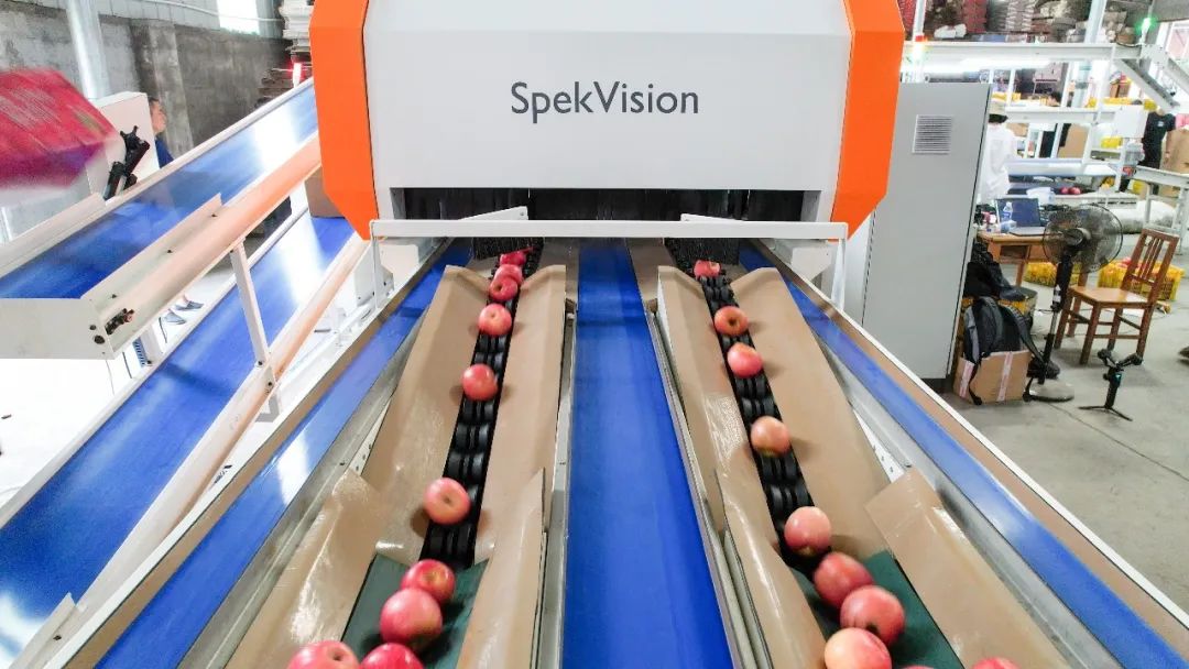 1661996928518260.jpg 10019.jpg