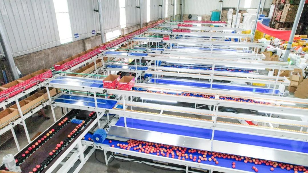 1661996966396624.jpg 10021.jpg