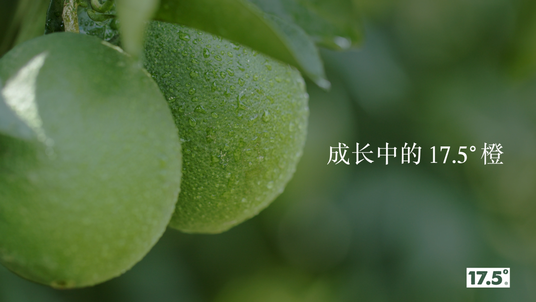 1661997207656062.png 10001.png