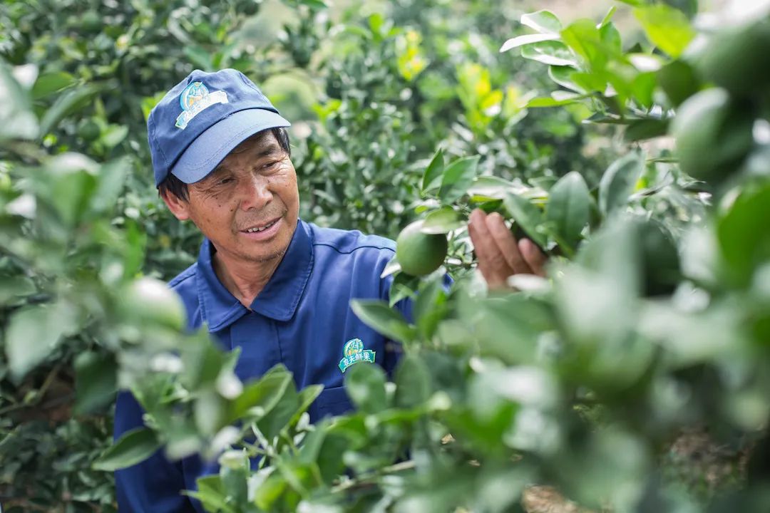 1661997312496306.jpg 10012.jpg