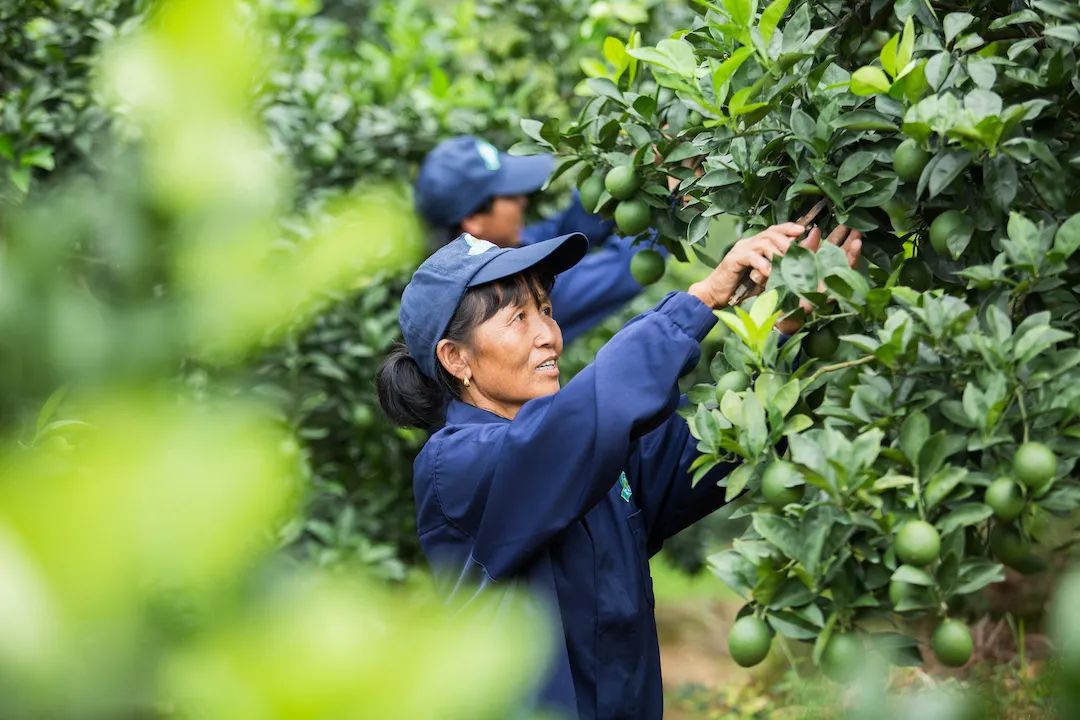 1661997317367469.jpg 10013.jpg