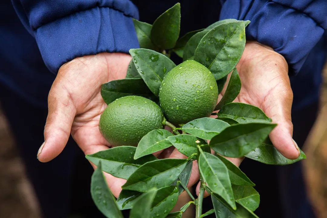 1661997323793707.jpg 10014.jpg