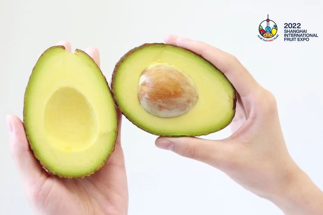 1662088752637199.jpg 1662088752637199.jpg