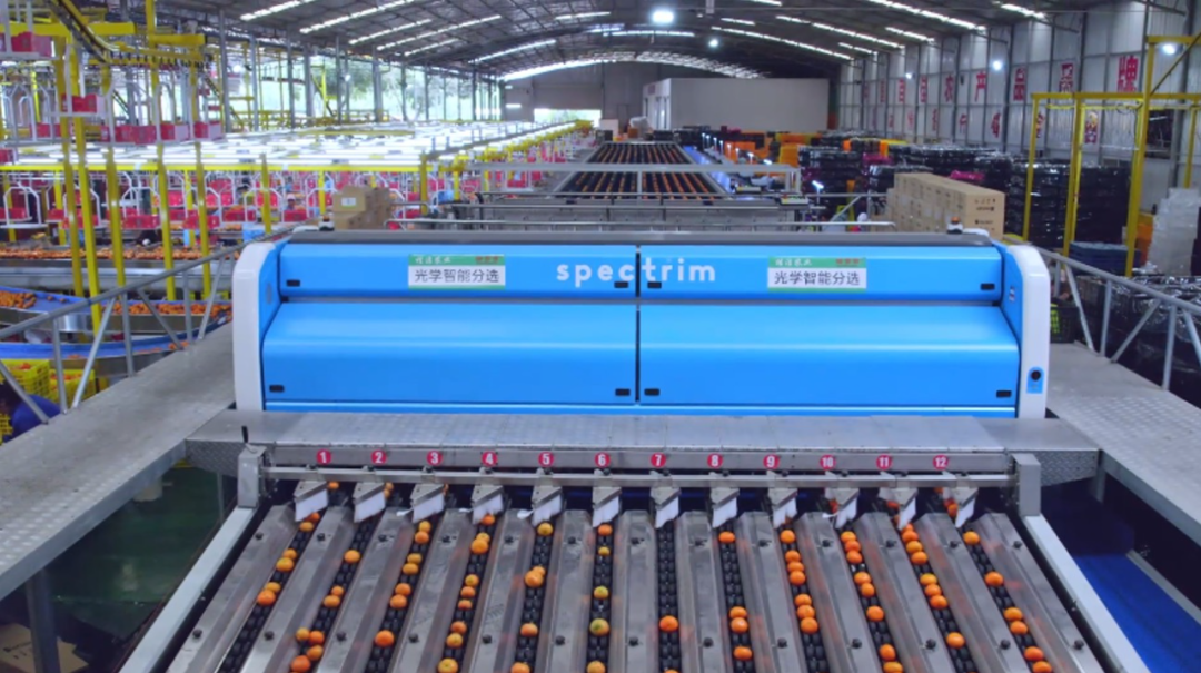 1662516230810538.png 10001.png