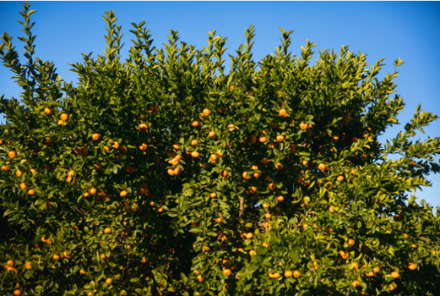 1662693077478770.png 10001.png