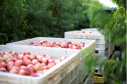 1662693085786048.png 10002.png