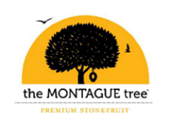 1662693524948805.png 10002.png