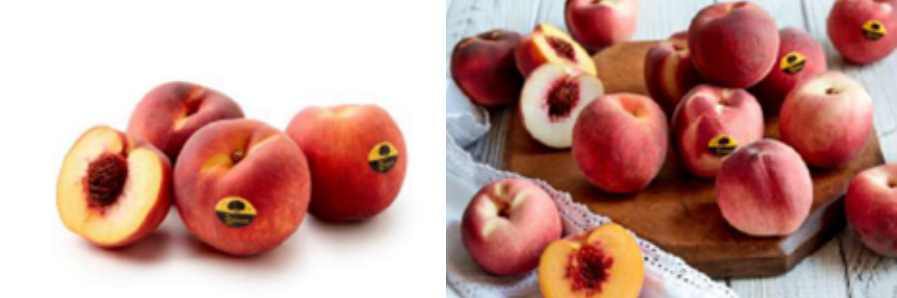 1662693541449359.png 10004.png