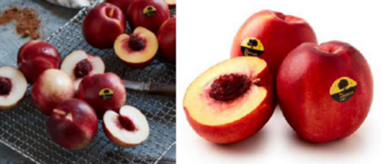 1662693547401779.png 10005.png