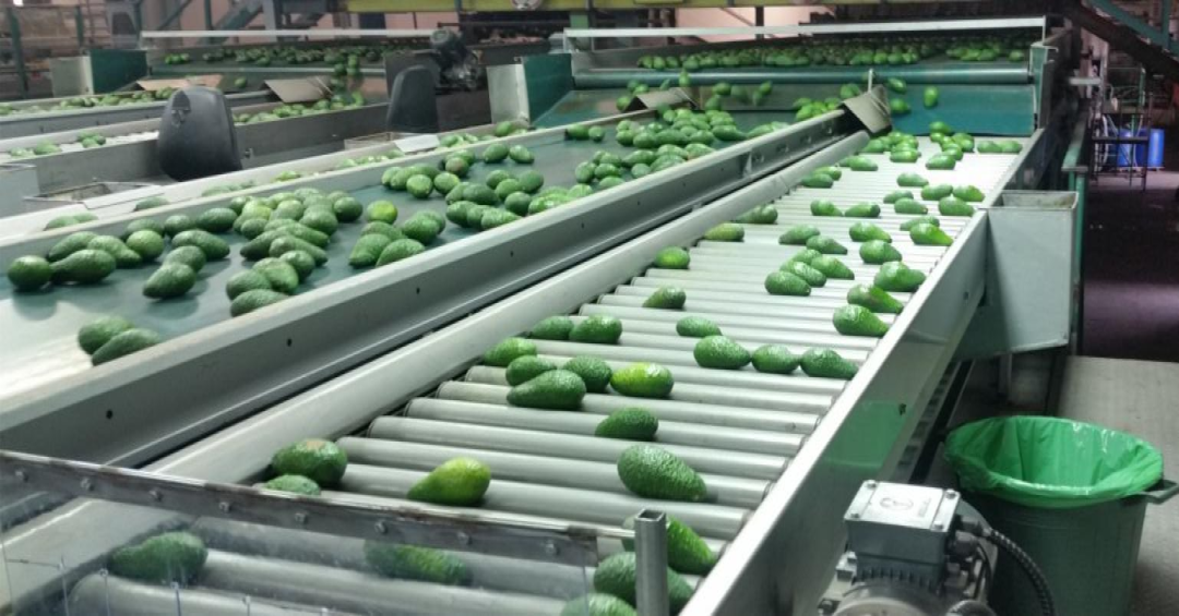 1663296515908084.png 10002.png