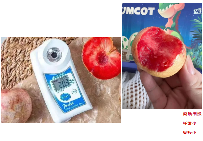 1664439781623730.png 2.png