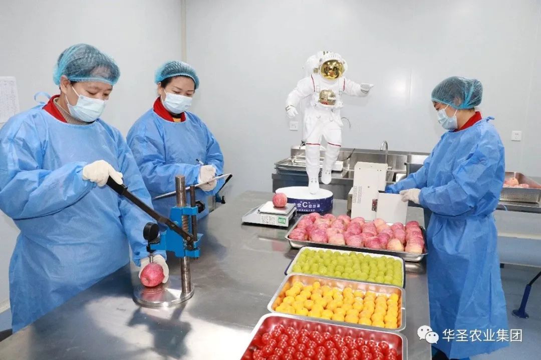 1669875875247073.jpg 10001.jpg