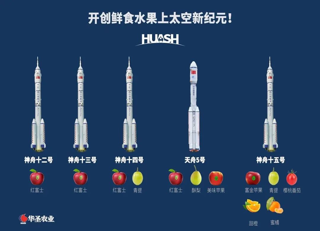 1669875885726081.jpg 10002.jpg