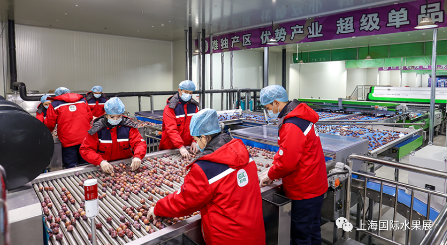 1680570824578873.png 10001.png