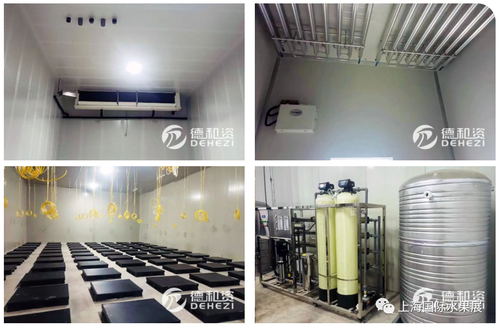 1680570852461426.png 10005.png