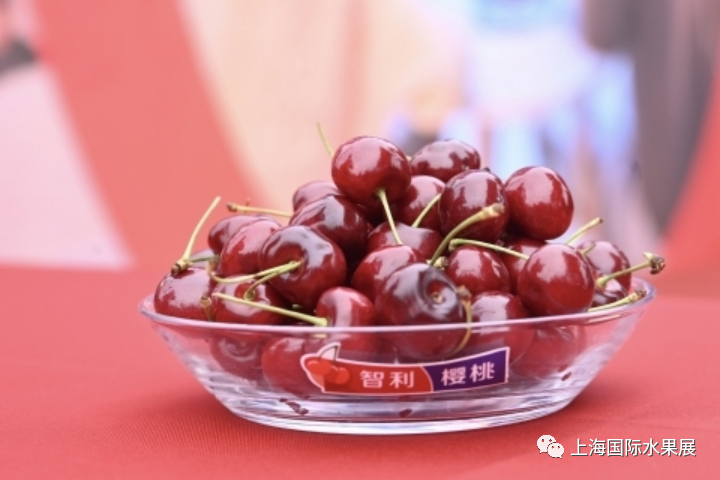 1681440533446095.png 10001.png