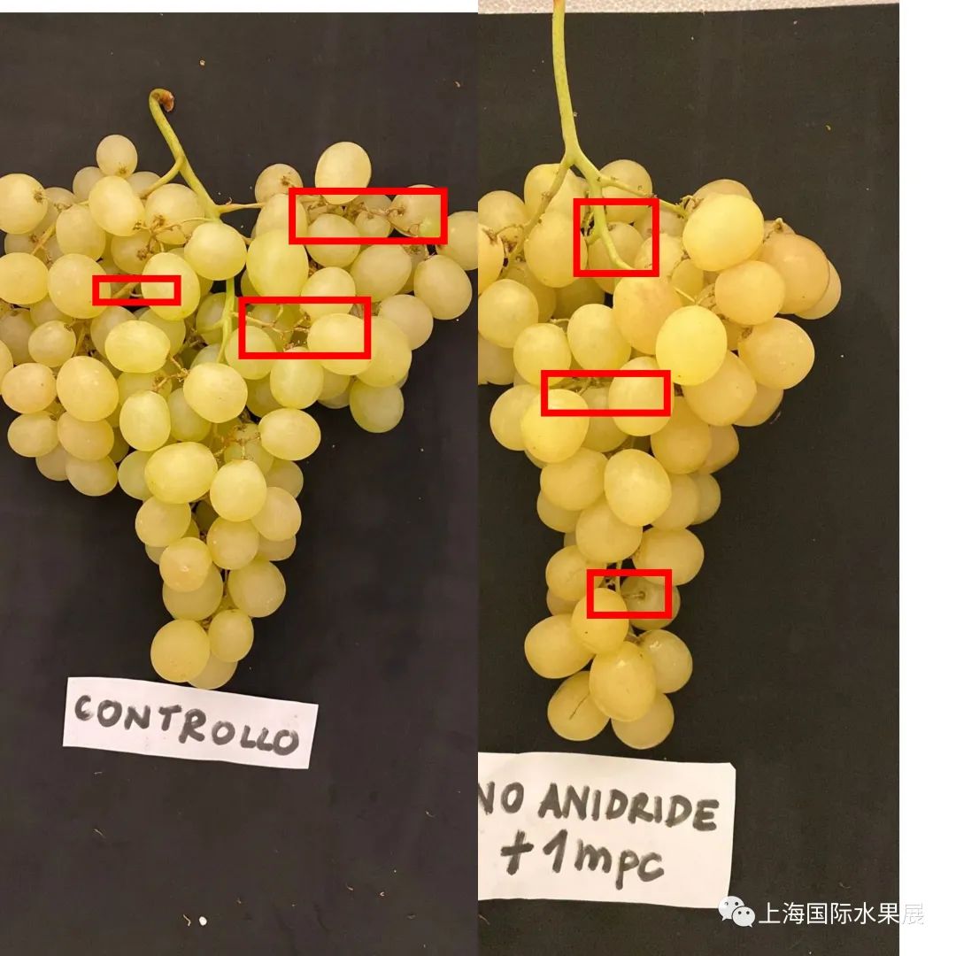 1681819653133140.jpg 10004.jpg