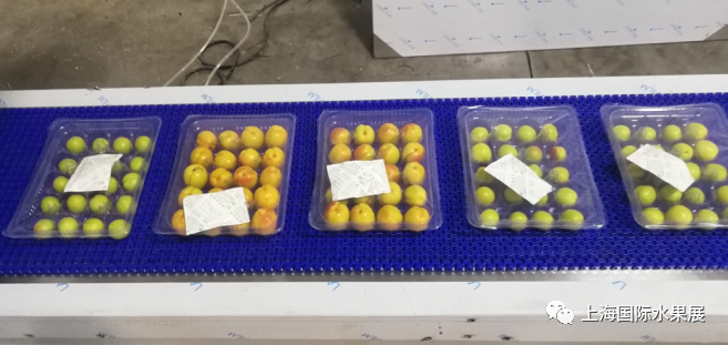 1683272726180198.png 10006.png