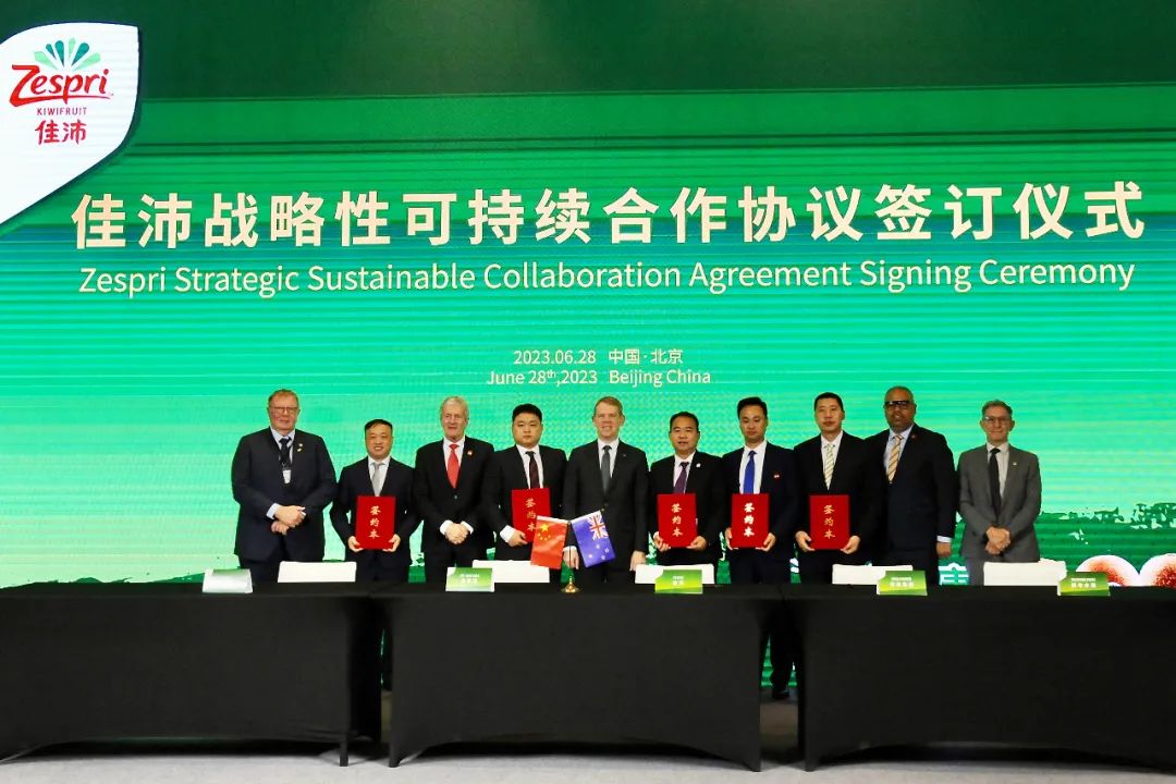 1688121899495533.jpg 10005.jpg