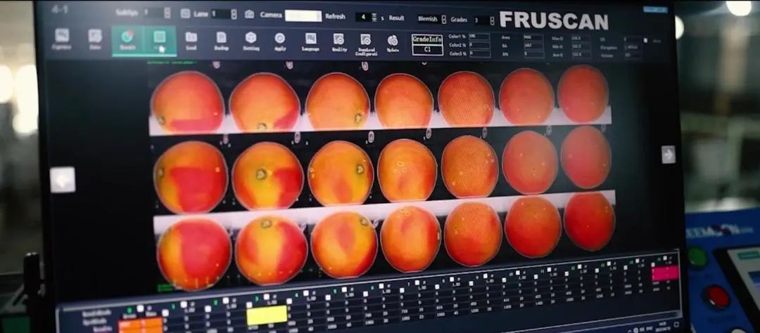 1689230369453550.jpg 10005.jpg