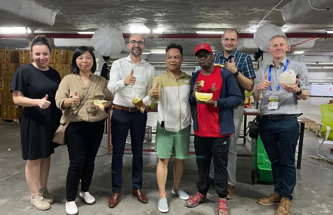 1690167524911216.jpg 10004.jpg