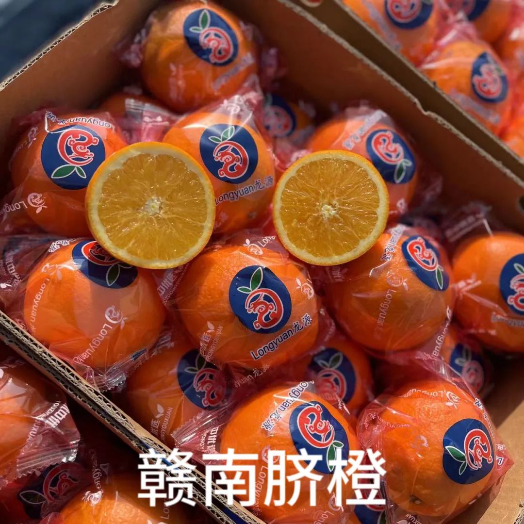 1690167542883375.jpg 10007.jpg