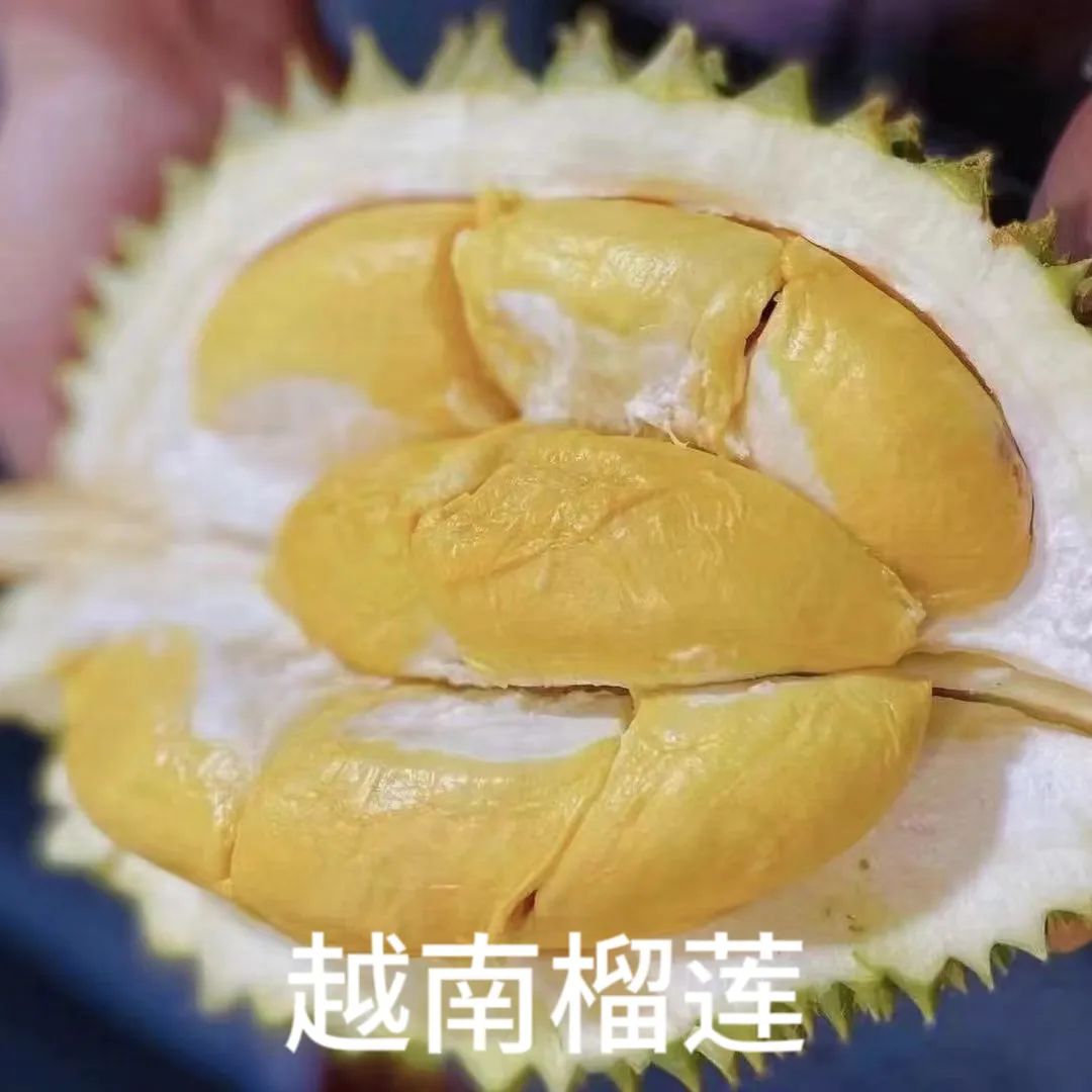 1690167557774429.jpg 10009.jpg