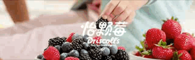 1691372213311063.gif 10001.gif