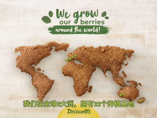 1691372236504522.gif 10005.gif