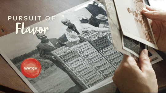 1691372242957576.gif 10006.gif