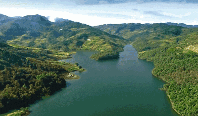 1691372630693344.gif 10043.gif